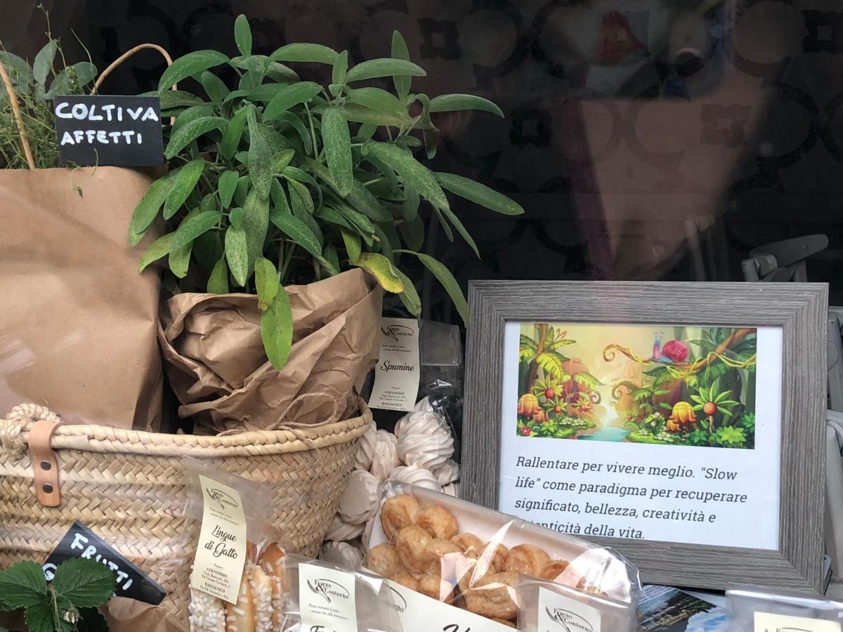 Ferienwohnung Vivi Cernobbio, La Sua Arte, La Sua Magia Exterior foto